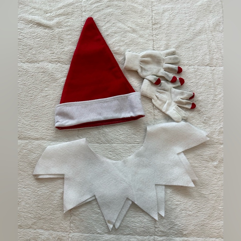 Halloween Costume - Elf on the Shelf